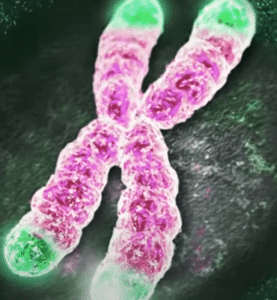 dna-telomere-caps-worth-knowing-that