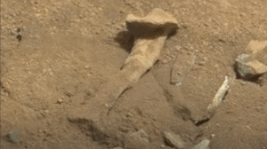 bones-photographed-on-mars