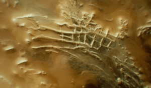 cydonia-mars-structures-on-mars-ancient-ruins-on-mars-dubbed-as-incan-ruins