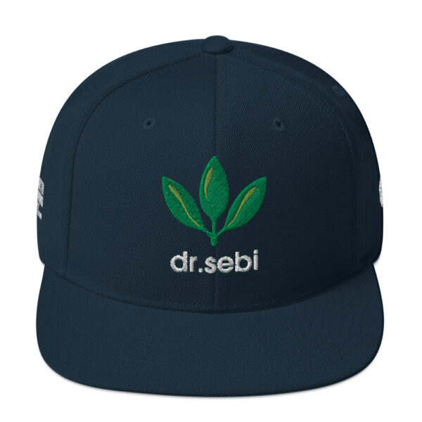Dr. Sebi Snapback Cap – Unisex (White Text) - Image 25