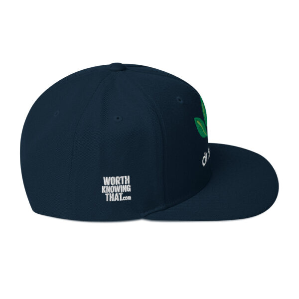 Dr. Sebi Snapback Cap – Unisex (White Text) - Image 26