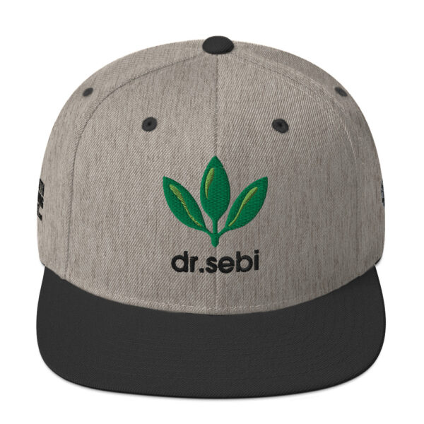 Dr. Sebi Snapback Cap – Unisex (Black Text) - Image 29