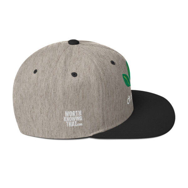Dr. Sebi Snapback Cap – Unisex (White Text) - Image 62