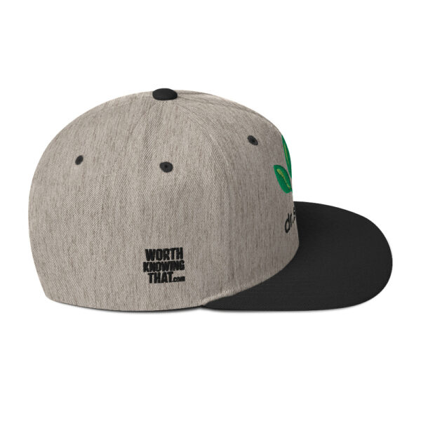 Dr. Sebi Snapback Cap – Unisex (Black Text) - Image 30