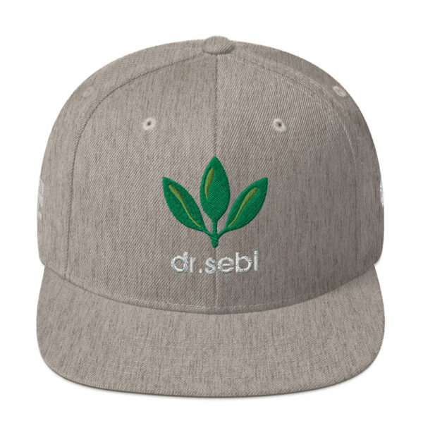 Dr. Sebi Snapback Cap – Unisex (White Text) - Image 57
