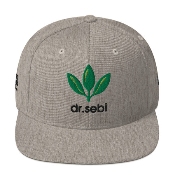 Dr. Sebi Snapback Cap – Unisex (Black Text) - Image 25