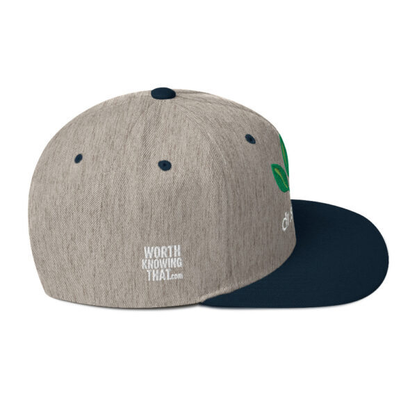 Dr. Sebi Snapback Cap – Unisex (White Text) - Image 66