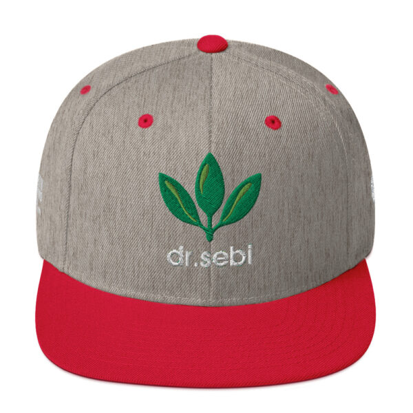 Dr. Sebi Snapback Cap – Unisex (White Text) - Image 69
