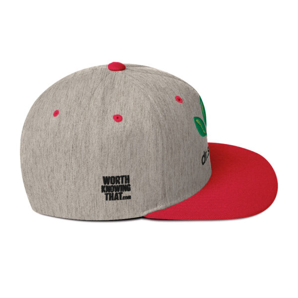 Dr. Sebi Snapback Cap – Unisex (Black Text) - Image 38