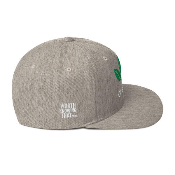 Dr. Sebi Snapback Cap – Unisex (White Text) - Image 58