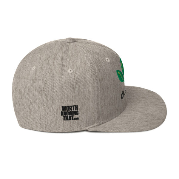 Dr. Sebi Snapback Cap – Unisex (Black Text) - Image 26