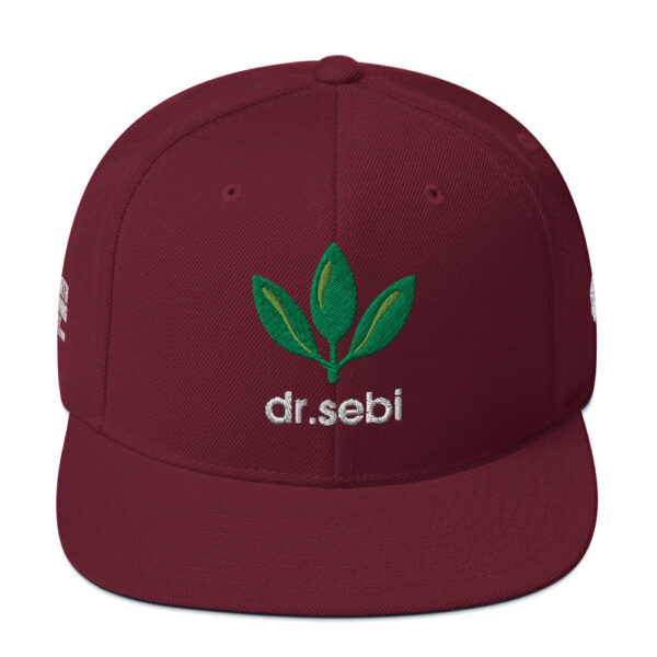 Dr. Sebi Snapback Cap – Unisex (White Text) - Image 29
