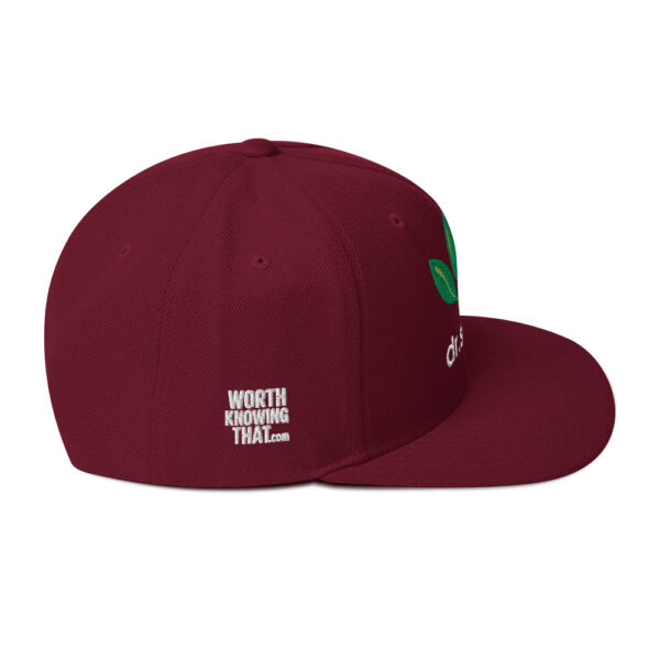 Dr. Sebi Snapback Cap – Unisex (White Text) - Image 30