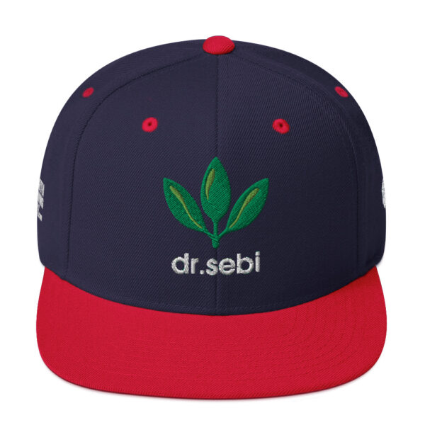 Dr. Sebi Snapback Cap – Unisex (White Text) - Image 73