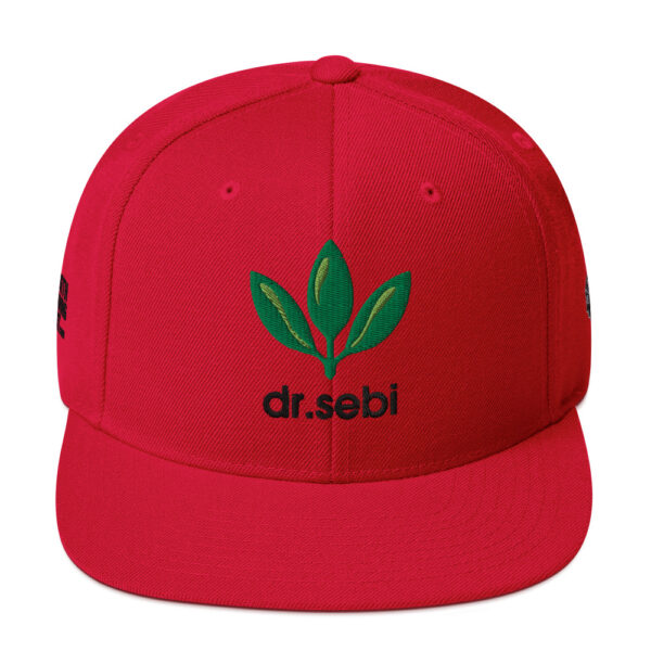 Dr. Sebi Snapback Cap – Unisex (Black Text) - Image 13