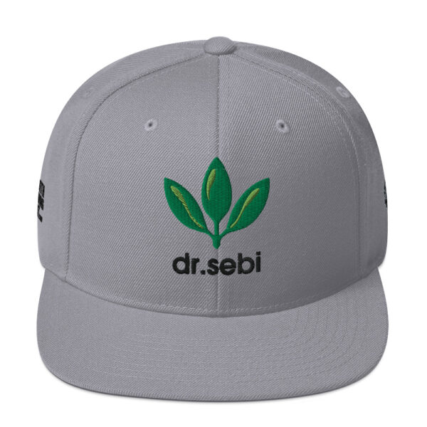Dr. Sebi Snapback Cap – Unisex (Black Text) - Image 17