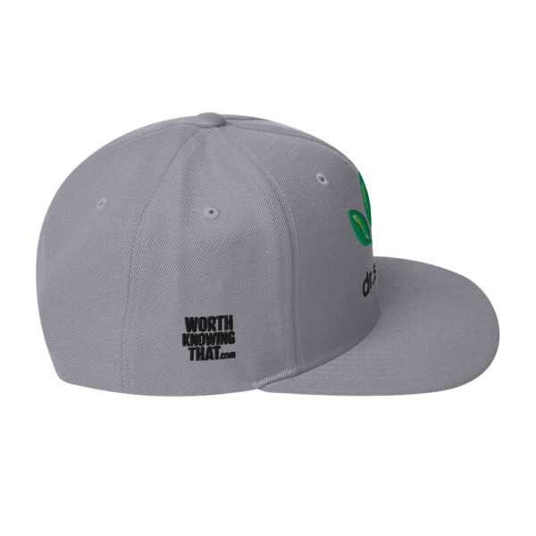 Dr. Sebi Snapback Cap – Unisex (Black Text) - Image 18