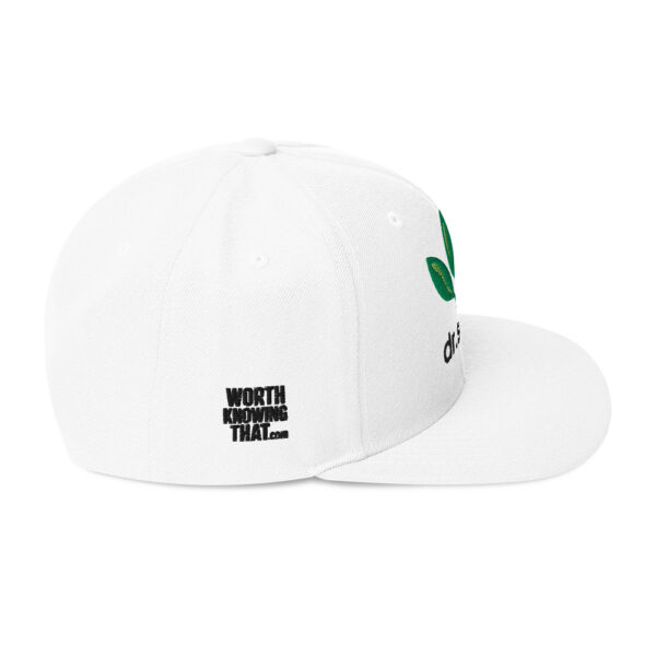 Dr. Sebi Snapback Cap – Unisex (Black Text) - Image 2