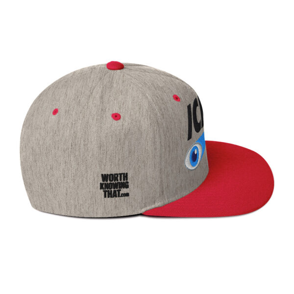 Icke Snapback Cap – Unisex (Black Text) - Image 31