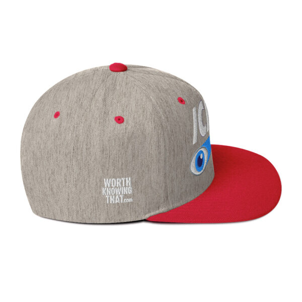 Icke Snapback Cap – Unisex (White Text) - Image 75